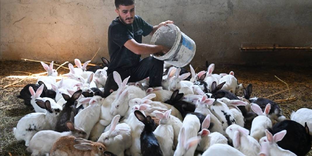 İnternette gördü, kendi çiftliğini kurdu! 6 ayda sayıları 500’e çıktı: Hedefi yurt dışına açılmak 2